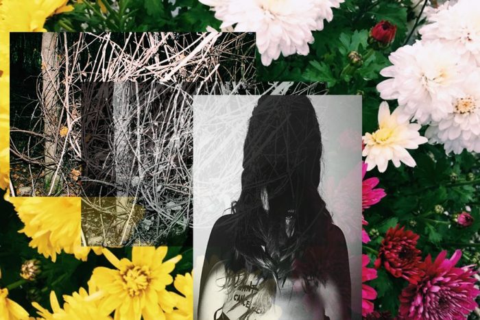 FLOWERS - design and photography by sven harambasic